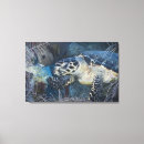 Recherche de tortue mer toiles Sous marin