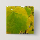 Recherche de feuille de coeur badges Vert
