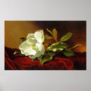 Recherche de heade martin johnson posters Magnolia