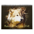 Recherche de loup calendriers Yellowstone