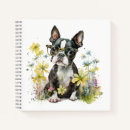 Recherche de chiot de terrier de boston Doux