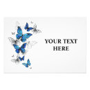 Recherche de photos de papillon Illustration