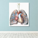 Recherche de anatomie coeur art Poumons