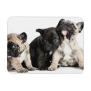 Suche nach sitzender hund magnete Haustier