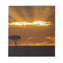 Suche nach sonnenaufgang notizblock Silhouette