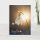 Suche nach s geburtstag karten Blume