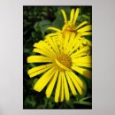 Suche nach rebell poster Gelb