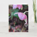Recherche de rain vœux cartes Flower