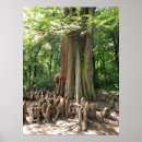 Recherche de taupe posters Unique