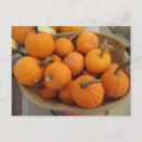 Recherche de offre cartes postales Automne