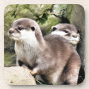 Recherche de loutre dessous de verres Nature
