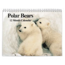 Suche nach eisbär kalender Niedlich