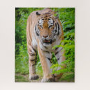 Suche nach tiger puzzle Schwarz