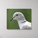 Recherche de paix impressions sur toile Élégant