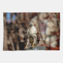 Suche nach raubvogel geschirr tücher Tiere
