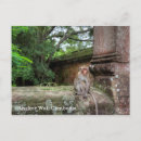 Recherche de angkor cartes postales Khmer