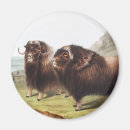 Recherche de illustration antique magnets Faune
