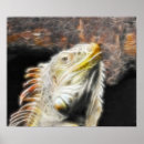 Suche nach leguan poster Drache