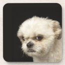 Suche nach brauner hund untersetzer Tier