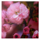Suche nach rosa kirschblüten fliesen Für sie