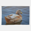 Suche nach enten geschirr tücher Vogelvogel