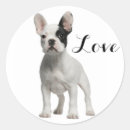 Recherche de chiot blanc autocollants Frenchie