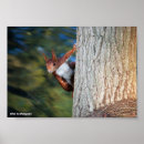 Recherche de eurasien posters Nature
