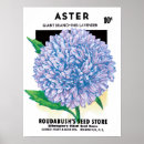 Suche nach seed poster Retro