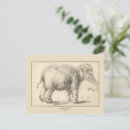 Recherche de rembrandt cartes postales Animal