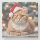 Recherche de humour noël dessous de verres Chat