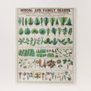 Recherche de flow chart Botanical