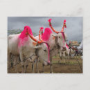 Recherche de index cartes postales Marché