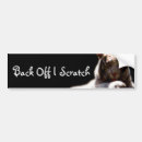 Suche nach tiger autoaufkleber Katze