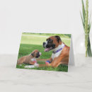 Suche nach boxer hunde karten Liebhaber