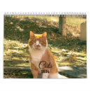 Suche nach lustiger kalender Für katzenliebhaber