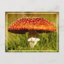 Suche nach toadstool postkarten Giftig