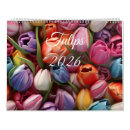 Recherche de rose de tulipe photographie Tulipes roses