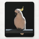Suche nach kakadu mousepads Natur