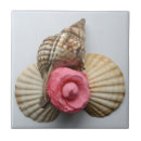 Recherche de escargot carreaux Coquillage