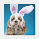 Recherche de oreilles de lapin magnets Animaux