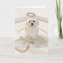 Suche nach dog angel karten Hund