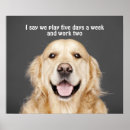 Suche nach wochen poster Hund