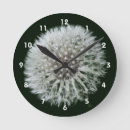 Recherche de pissenlits horloges Pour elle