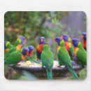 Suche nach esser mousepads Bunt