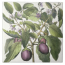 Suche nach vegen fliesen Bäume