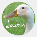 Suche nach justin aufkleber Spaß