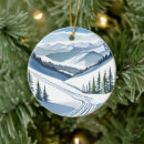 Suche nach schnee skifahrer ornamente Weihnachten