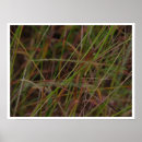 Suche nach das gras poster Flora