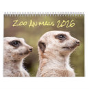 Recherche de zoo photographie Gorille