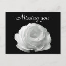 Suche nach single rose poster Blüte